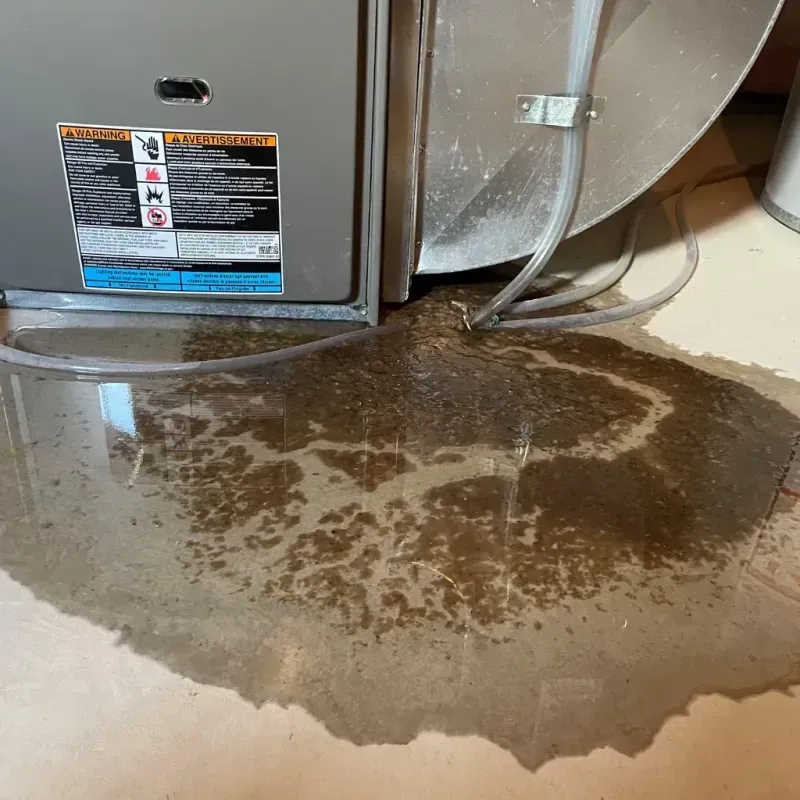 Appliance Leak Cleanup in Lyndhurst, NJ